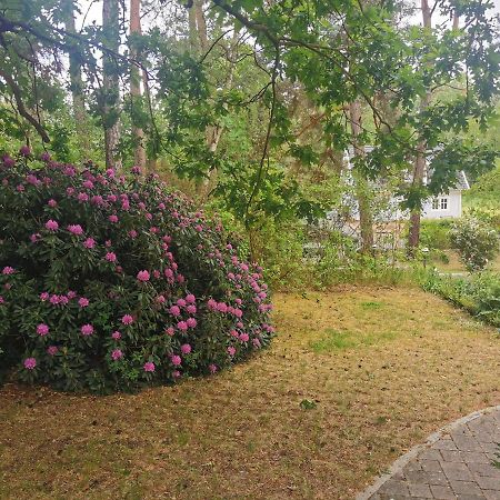 Fahrradpension Am Weg Nach Kopenhagen Fürstenberg-Havel Exteriér fotografie